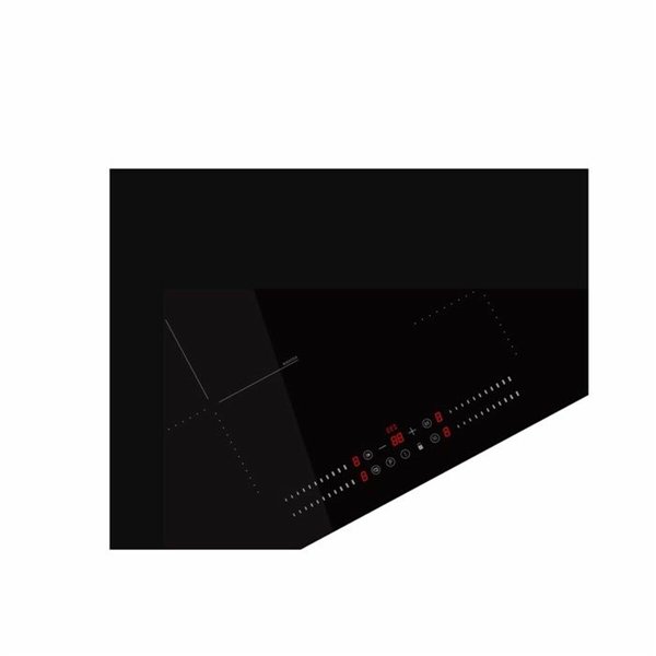 Induction Hot Plate Fagor