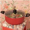 Casserole Livoo Red Ø 24 cm 4 L