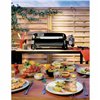 Grill Weber Black 43 x 22 cm