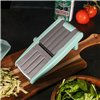 3-in-1 Mandolin Grater Livoo Green Silver