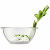 Salad Bowl Bodum Bistro Ø 16 cm Transparent 1,6 L
