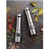 Spice Grinder Russell Hobbs 23460-56 Silver (2 Units)