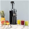 Electric Juicer Hkoenig GSX16 Black 0,8 L