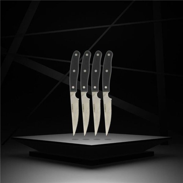Knife Set Nirosta Stainless steel 4 Pieces