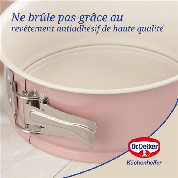 Springform Pan Dr. Oetker