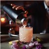 Cocktail Maker Fackelmann