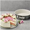 Springform Pan Dr. Oetker