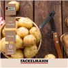 Puree Maker Fackelmann