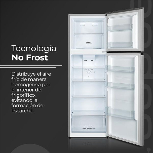 Combined Refrigerator Aspes AF1675501ENFX