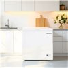 Freezer Aspes ACH2002EDC