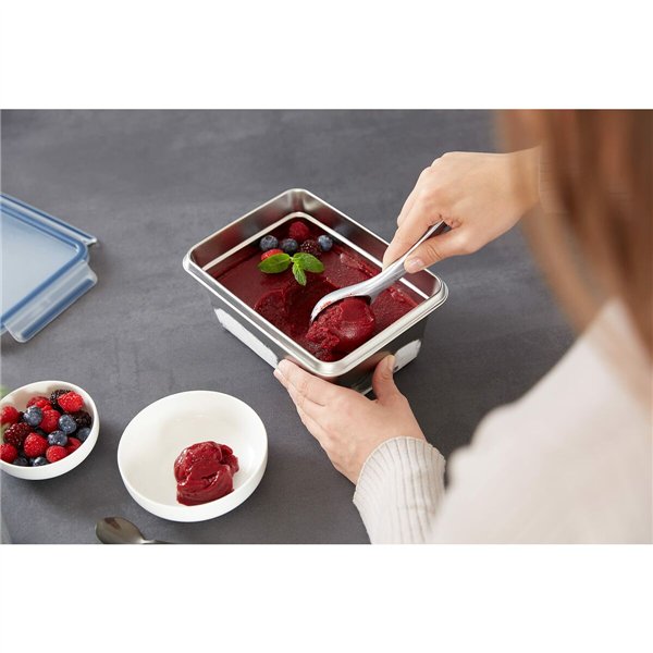 Lunch box Tefal N11506 Silver Stainless steel Rectangular 2 L