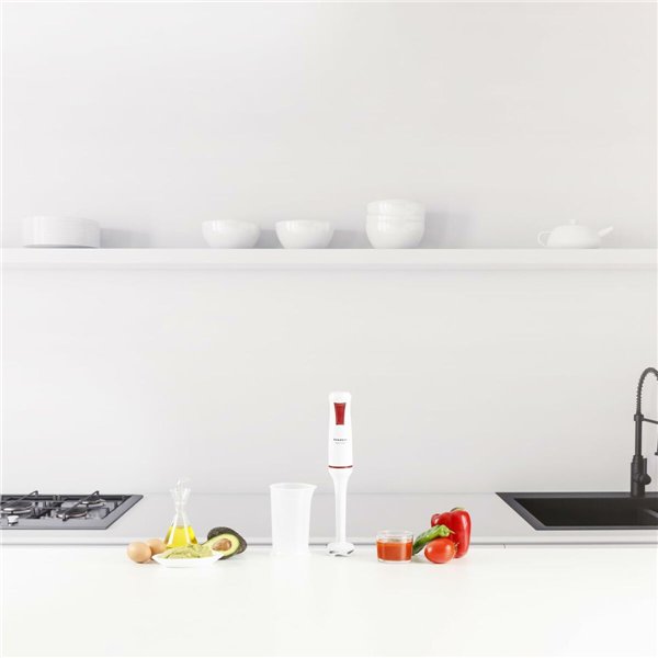 Hand-held Blender Taurus ROBOT750