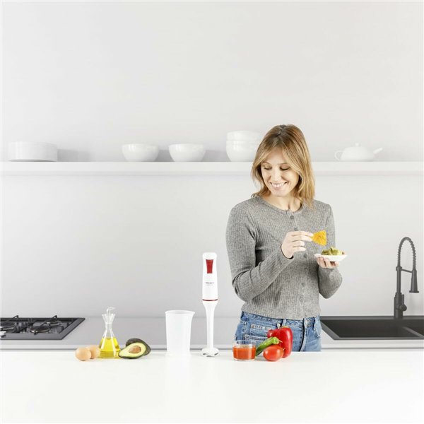 Hand-held Blender Taurus ROBOT750