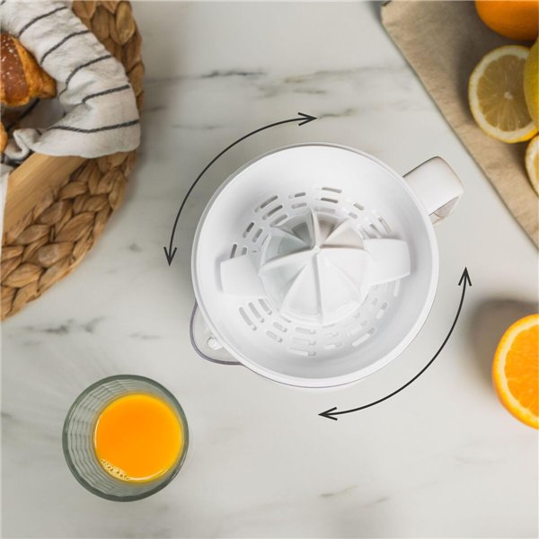 Electric Juicer UFESA ZING 40 W