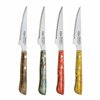 Meat Knife Set San Ignacio Evergreen BGEU-6076 Stainless steel