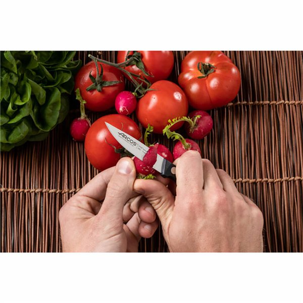 Shredding Knife Arcos serie universal 75 mm Stainless steel