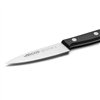 Shredding Knife Arcos serie universal Stainless steel Plastic 10 cm