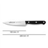 Kitchen Knife Arcos serie universal Black Steel 12 cm