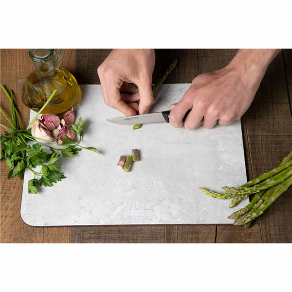 Vegetable Peeler Knife Arcos Black