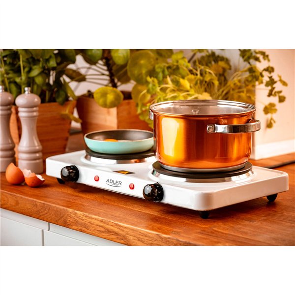 Camping stove Adler 2500 W