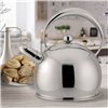Teapot Feel Maestro MR-1330 3 L