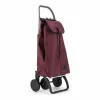 Electric Barbecue Esperanza EKG013 850 W