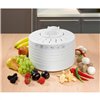 Food Dehydrator Clatronic DR 2751 250 W