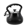 Kettle Promis TMC21C Black Stainless steel 3 L