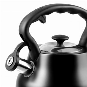 Kettle Promis TMC21C Black Stainless steel 3 L