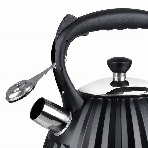 Kettle Promis TMC25 Black Steel 3 L