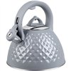 Kettle Promis TMC14G Grey Steel 3 L