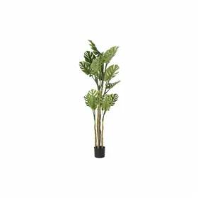 Thermal Cup with Lid SUNDO 21250 Transparent