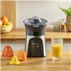 Electric Juicer Moulinex PC603D10 100 W Silver