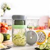 Vegetable Spiral Cutter and Grater with Recipes Vigizer InnovaGoods