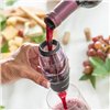 Wine Aerator with Filter, Stand and Carry Pouch Wineir InnovaGoods