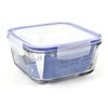 Hermetic Lunch Box Borgonovo Transparent