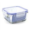 Hermetic Lunch Box Borgonovo Transparent