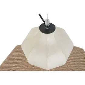 Set of Iberian Grain-Fed Ham and Ham Holder Delizius Deluxe