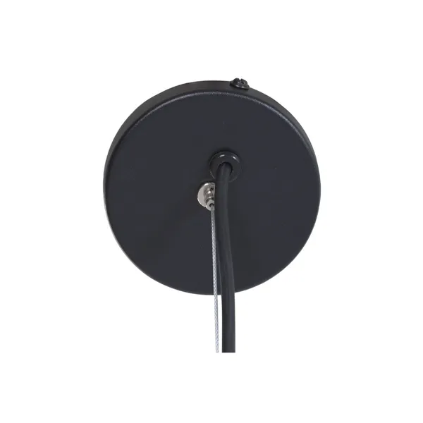 Set of Iberian Grain-Fed Ham Shoulder and Ham Holder Delizius Deluxe