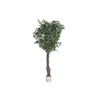 Tree Home ESPRIT Polyester Wood Bengal fig