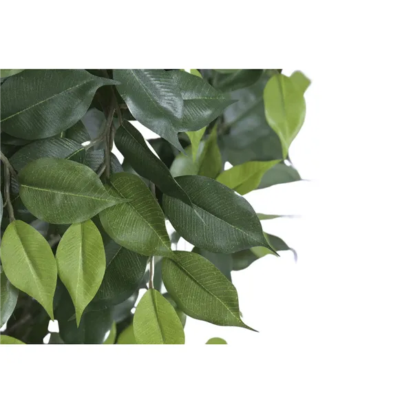 Tree Home ESPRIT Polyester Wood Bengal fig