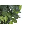 Tree Home ESPRIT Polyester Wood Bengal fig