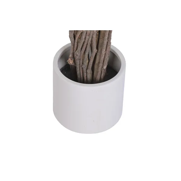 Tree Home ESPRIT Polyester Wood Bengal fig