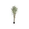 Decorative Plant Home ESPRIT Wood Polyethylene Oriental
