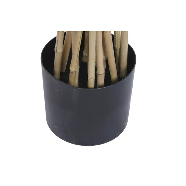 Decorative Plant Home ESPRIT Wood Polyethylene Oriental