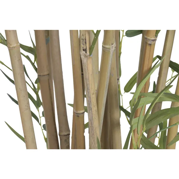 Decorative Plant Home ESPRIT Wood Polyethylene Oriental