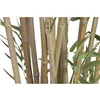Decorative Plant Home ESPRIT Wood Polyethylene Oriental
