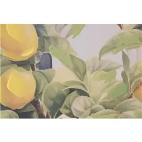 Nordic cover HappyFriday Single 155 x 220 cm