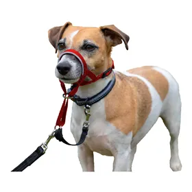 Dog collar Trixie Active Black L/XL 55-65 cm