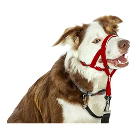 Dog collar Trixie Active Black 65-75 cm